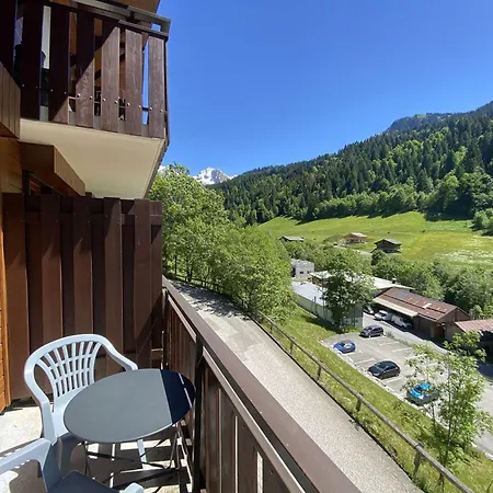 Confortable T2 Avec Coin Nuit Pour 4 Au Grand-bornand - Fr-1-458-203 *